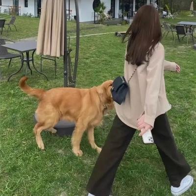 梦与无线电